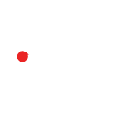 Birds digital